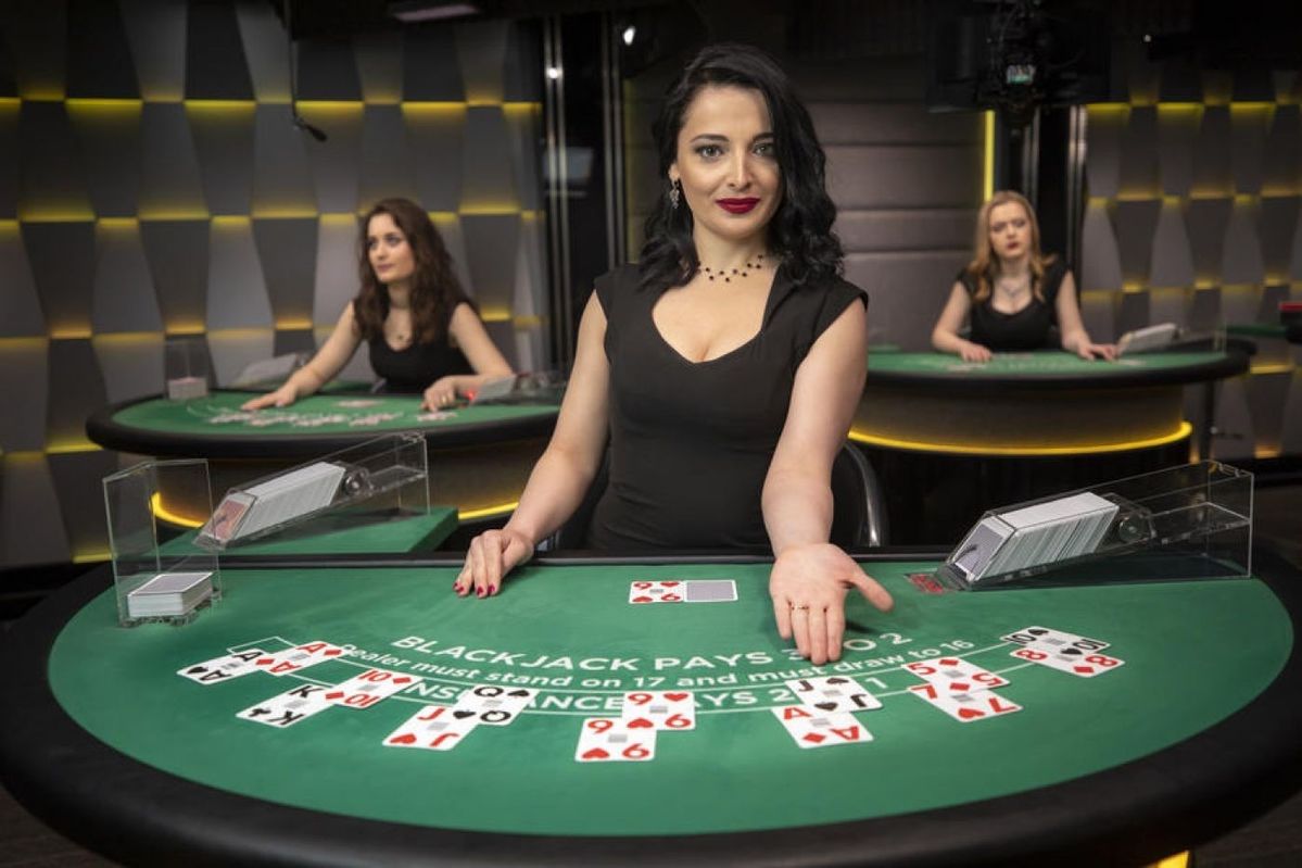 Palmerbet Live Casino